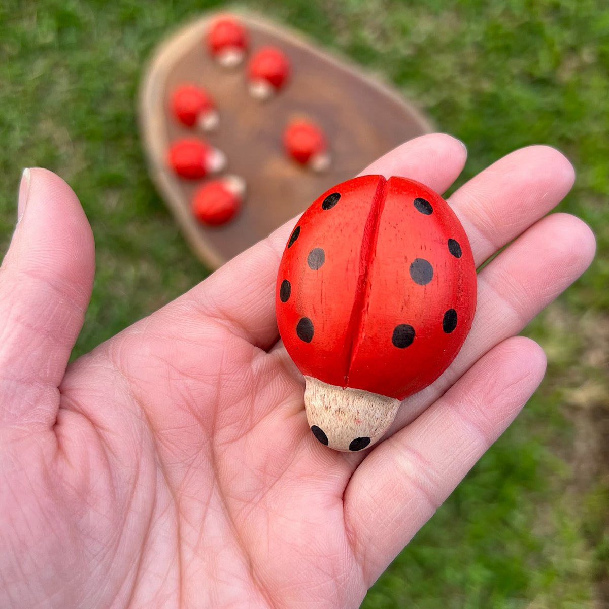 Wooden Ladybirds toy Ladybug toy Lucas loves cars