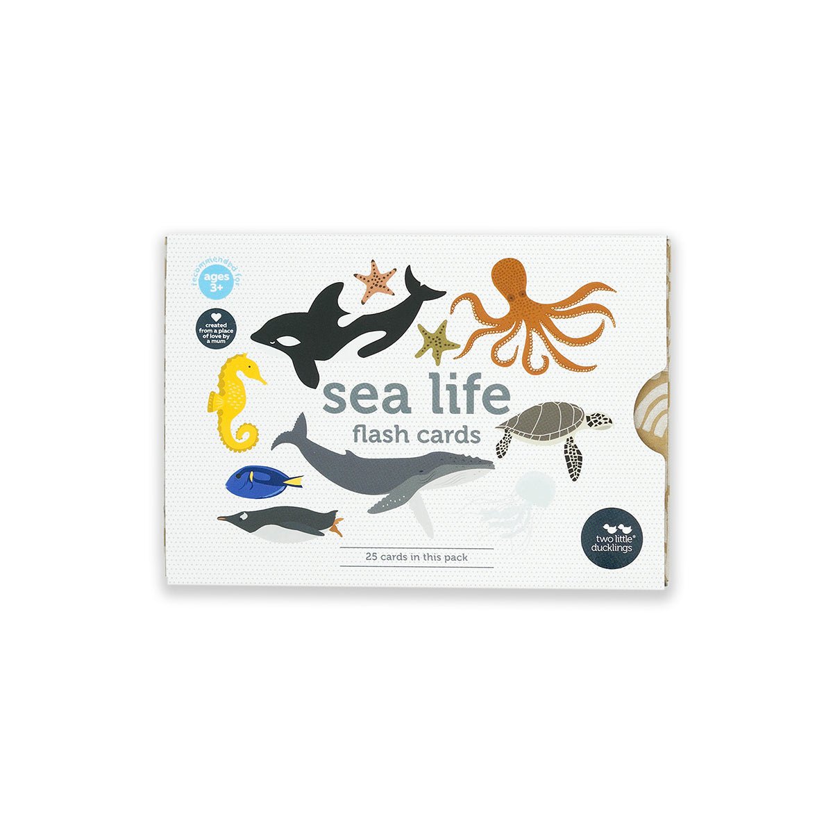 Flash Cards Sea Life | Two Little Ducklings