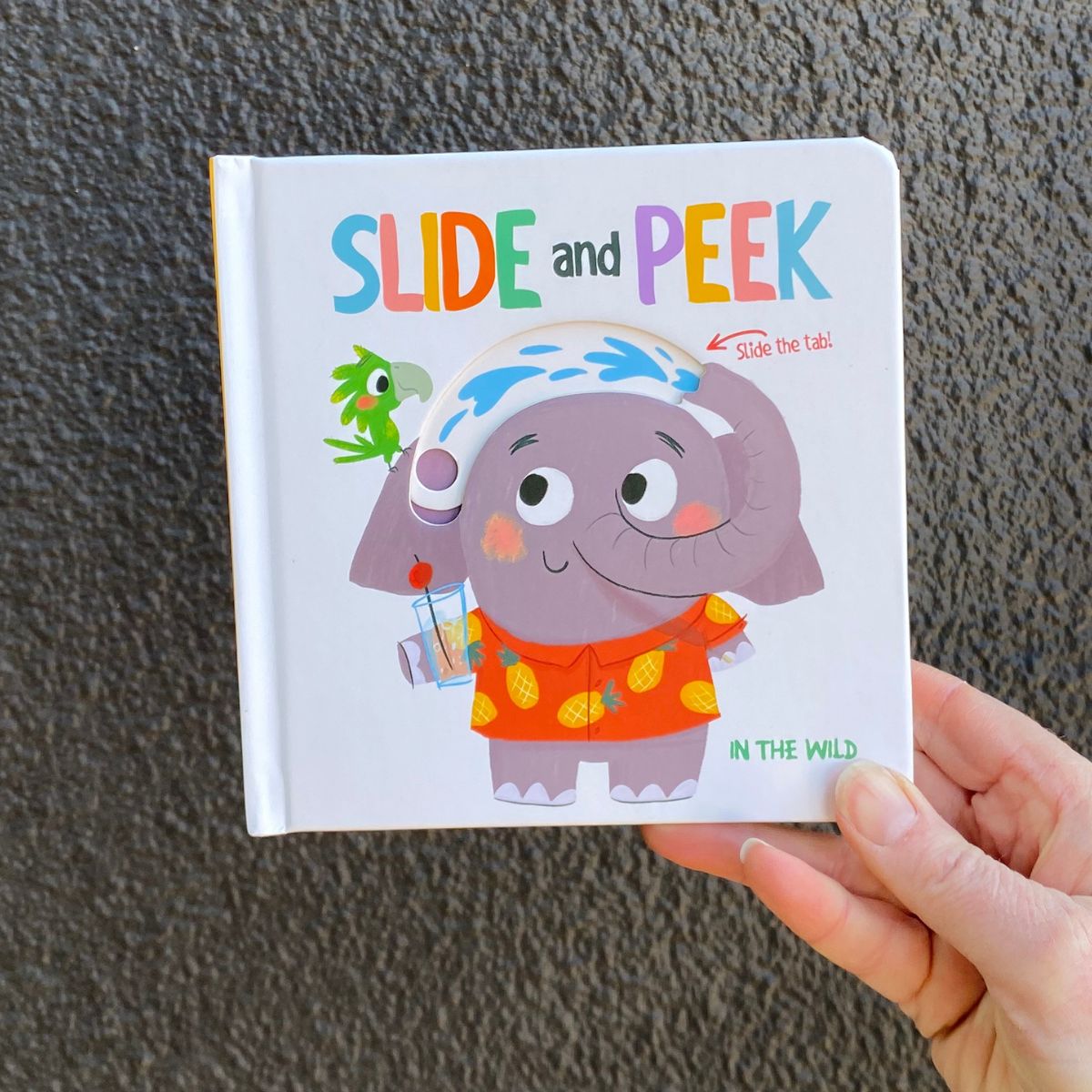 Slide & Peek In The Wild | Books