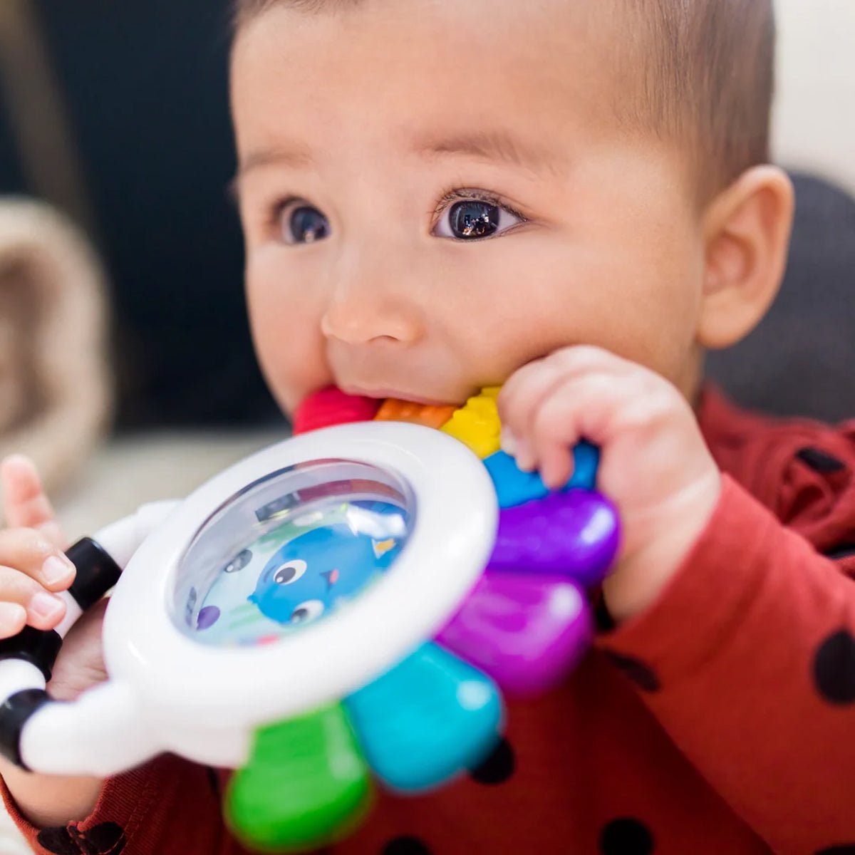 Baby Einstein Opus Sensory Rattle | Baby Einstein