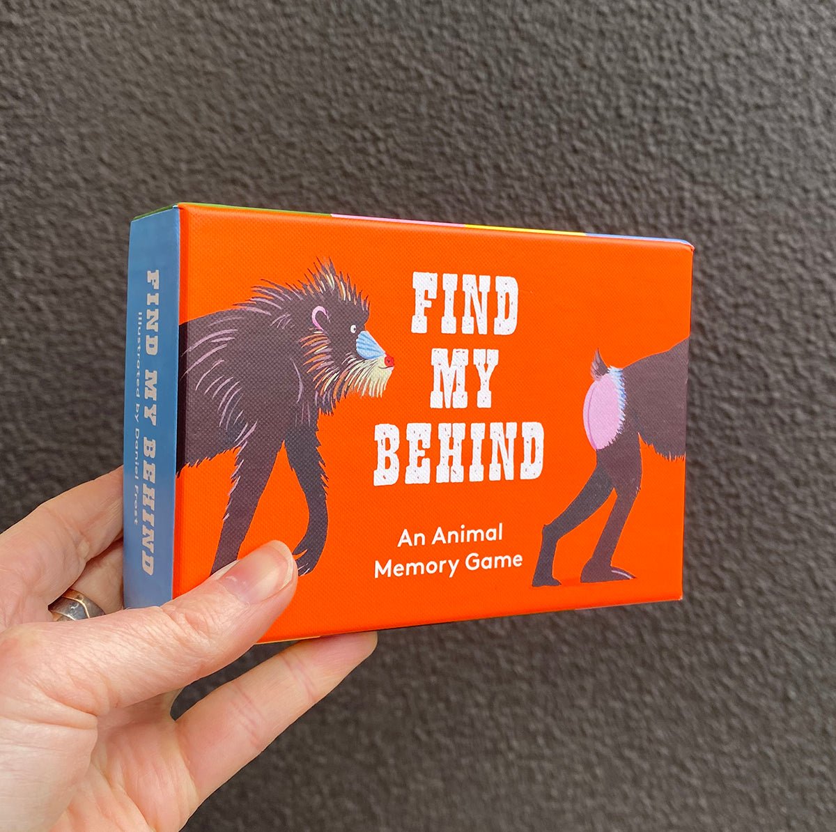 Find my Behind Animals | Books