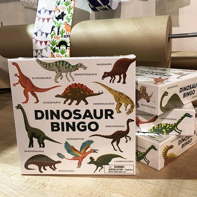 Dinosaur Bingo | Brumby Sunstate - supplier |  Lucas loves cars