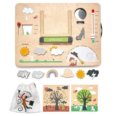 Tender Leaf Wooden Weather Station | Tender Leaf Toys