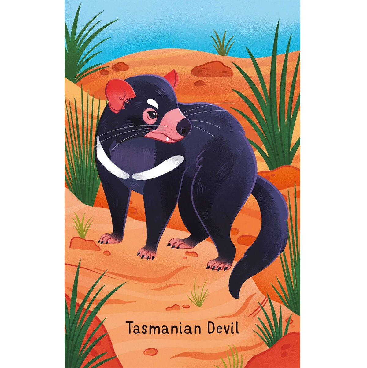 Australian Animals Snap | Books