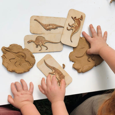 5 Little Bears Dinosaur Fossil Stamps | 5 Little Bears