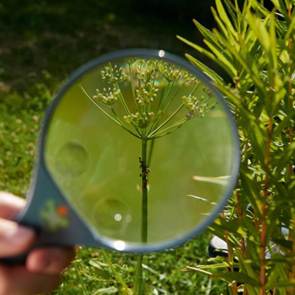 Terra Kids Magnifying Glass | Outdoor nature kids toys 